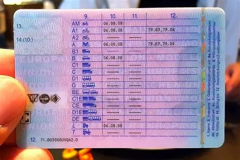 A1 Führerschein kaufen